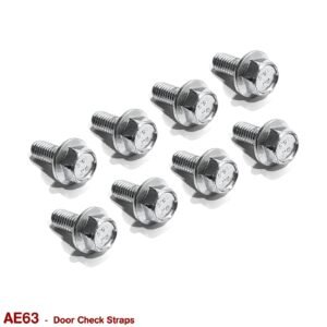 DOOR CHECK STRAP BOLTS for VB VC VH VK VL