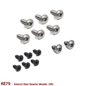 EXTERIOR REAR QUARTER (1/4) MOULD SCREWS for VK