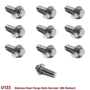 FLANGE BOLTS SERRATED M6 MEDIUM  (STAINLESS STEEL)