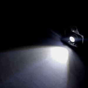 NUMBER PLATE LIGHT LED GLOBE for VK VL SEDAN