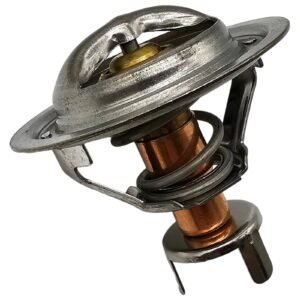 HIGH FLOW THERMOSTAT for RB30  (VL and R31)